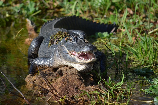 https://websitemachen-production.s3.us-east-2.amazonaws.com/temp/019e9f91-ec4b-7263-b17e-12a8695a17d9/a261ba62398049a682c2954055186d0c.webp